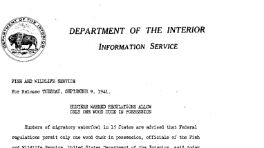 Hunters Warned Regulations Allow Only One Wood Duck in Possession September 9, 1941
