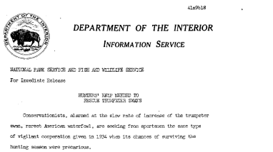 Hunters' Help Needed to Rescue Trumpeter Swans September 18, 1941