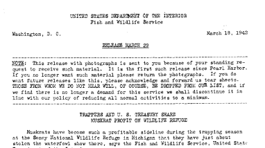 Trappers and U.S. Treasury Share Muskrat Profit on Wildlife Refuge March 18, 1942