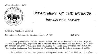 New Oyster Production Program Submitted to State Conservation Officials and the Oyster Industry May Reverse Its Downward Trend June 13, 1943