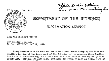 Young Hunters With Bb Guns and Air Rifles Warned About Killing Insect-Eating Birds May 24, 1944