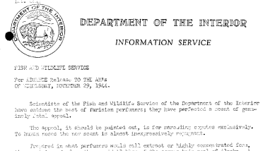 Scent Made From Rancid Blubber of Hair Seal of Alaska Used to Trap Coyotes November 29, 1944