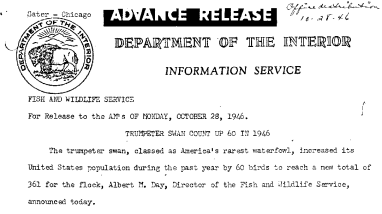 Trumpeter Swan Count up 60 in 1946 October 28, 1946