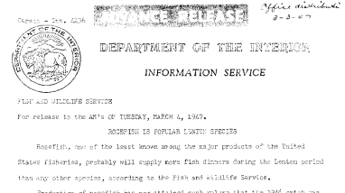 Rosefish Is Popular Lenten Species March 4, 1947