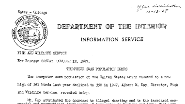 Trumpeter Swan Population Drops October 12, 1947
