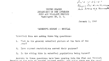 Waterfowl Report Special January 1, 1948