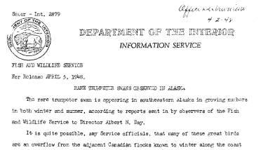 Rare Trumpter Swans Observed in Alaska April 5, 1948