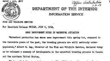 Some Imporvement Noted in Waterfowl Situation July 9, 1948