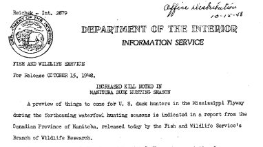 Increased Kill Noted in Manitoba Duck Hunting Season October 15, 1948