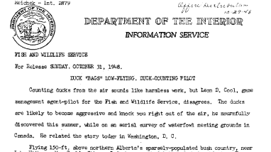 Duck "Bags" Low-Flying, Duck Counting Pilot October 31, 1948