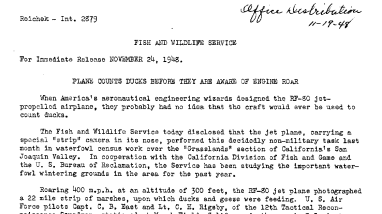 Plane Conts Ducks Before They Are Aware of Engine Roar Jet Plane November 24, 1948