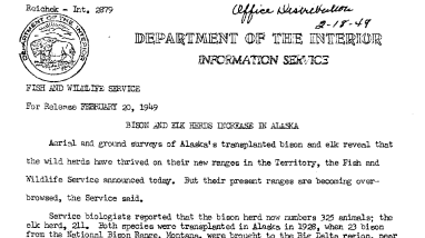 Bison and Elk Herds Increase in Alaska January 20, 1949