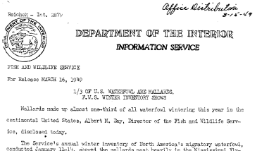 1/3 of U.S. Waterfowl Are Mallards, FWS Winter Inventory Shows March 16, 1949