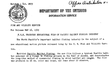 FWS Produces Educational Film on Pacific Halibut Fishing Industry May 16, 1949