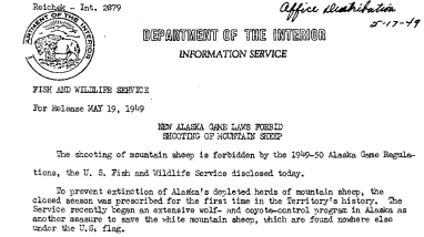 New Alaska Game Laws Forbid Shooting of Mountain Sheep May 19, 1949