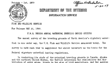 FWS Begins Annual Waterfowl Breeding Ground Studies May 20, 1949