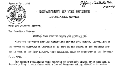 Federal Duck Hunting Rules Are Liberalized --July 29, 1949