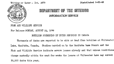 Botulism Poisoning of Ducks Reported in Canada --August 22,1949