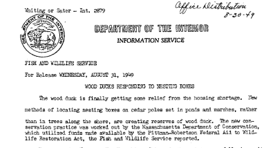 Wood Ducks Responding to Nesting Boxes --August 31, 1949