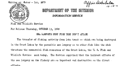 Sea Lampreys Hurt Fish They Don't Attack --Oct 13, 1949