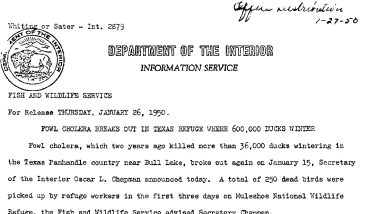 Fowl Cholera Breaks Out in Texas Refuge Where 600,000 Ducks Winter January 26, 1950