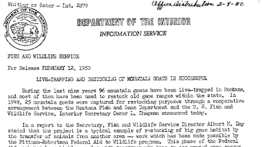 Live-Trapping and Restocking of Mountain Goats Is Successful February 12, 1950