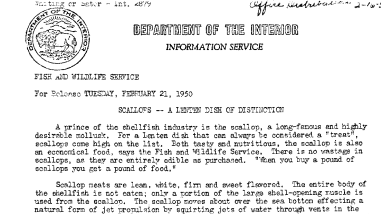 Scallops A Lenten Dish of Distinction February 21, 1950 A
