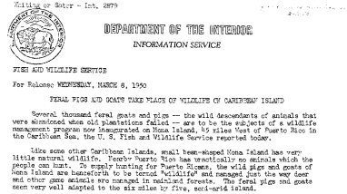 Federal Pigs and Goats Take Place of Wildlife on Caribbean Island March 8, 1950 A