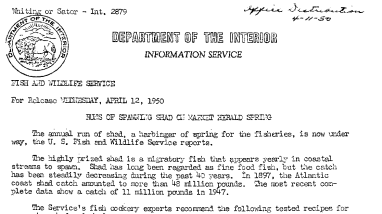 Runs of Spawning Shad on Market Herald Spring April 12, 1950 B