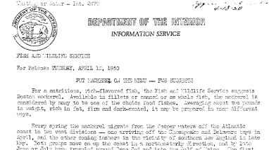 Put Mackerel on the Menu FWS Suggests April 18, 1950