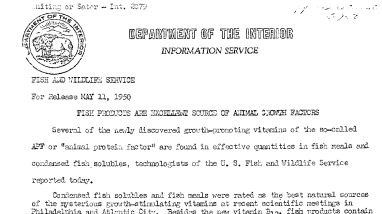 Fish Production Are Excellent Source of Animal Growth Factors May 11, 1950 A
