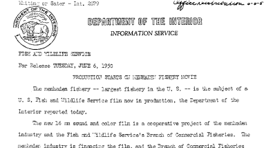 Production Starts on Menhaden Fishery Movie June 6, 1950 A