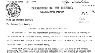 Abstract of 1950-51 Fur Laws Published October 13, 1950 B