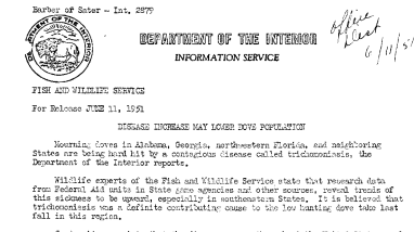 Disease Increase May Lower Dove Population June 11, 1951