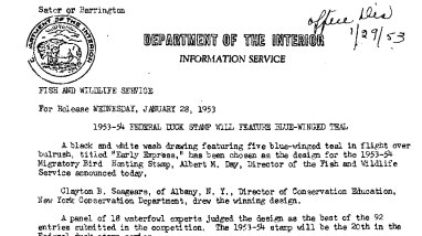 1953-54 Federal Duck Stamp Will Feature Blue-Winged Teal January 28, 1953