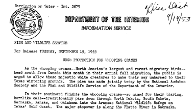 Urge Protection for Whooping Cranes September 15, 1953