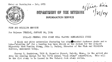 1954-55 Federal Duck Stamp Will Feature Ring-Necked Ducks January 26, 1954