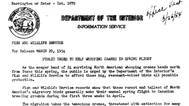 Public Urged to Help Whooping Cranes in Spring Flight March 29, 1954
