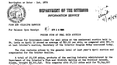 Prices Rise at Seal Skin Auction April 16, 1954