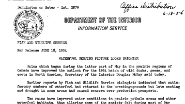 Waterfowl Nesting Picture Looks Brighter June 18, 1954