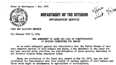 New Amendment to Lacey Act Aids in Identification of Species Prohibited for Import July 9, 1954 A