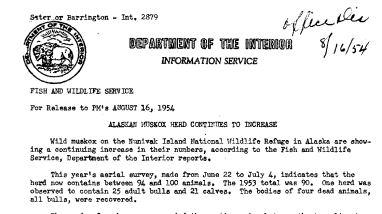 Alaska Muskox Herd Continues to Increase August 16, 1954 B
