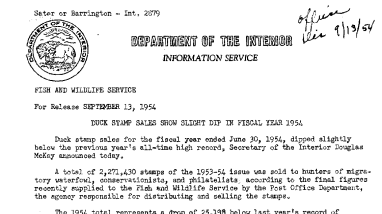 Duck Stamp Sales Show Slight Dip in Fiscal Year 1954 September 13, 1954