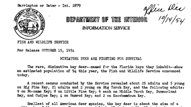Miniature Deer Are Fighting for Survival October 15, 1954