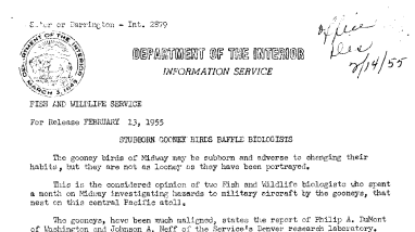 Stubborn Gooney Birds Baffle Biologists February 13, 1955