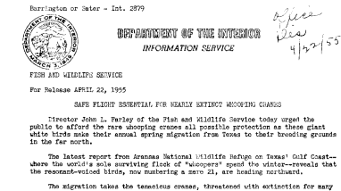 Safe Flight Essential for Nearly Extinct Whooping Cranes April 22, 1955