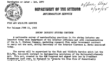 Shrimp Industry Studies Continue June 22, 1955 B