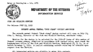 Seventh Annual Federal "Duck Stamp" Contest Announced July 13, 1955