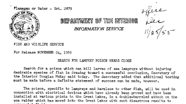 Search for Lamprey Poison Nears Close November 24, 1955