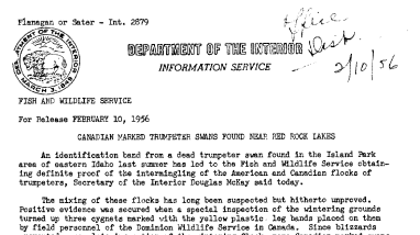 Canadian Marked Trumpeter Swan Found Near Red Rock Lakes February 10, 1956 A